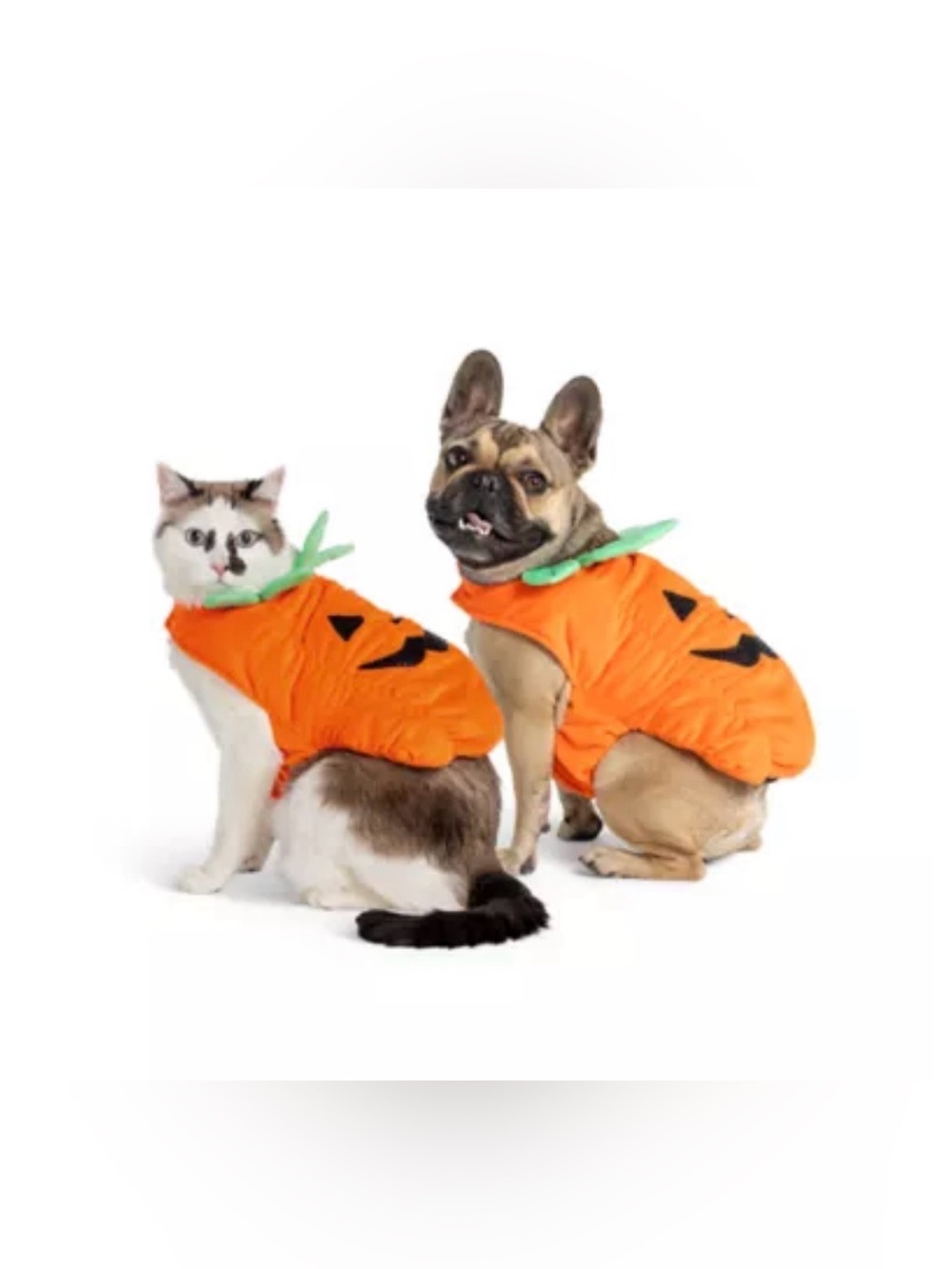 Pet Pumpkin Costume Jacket for Cats Orange